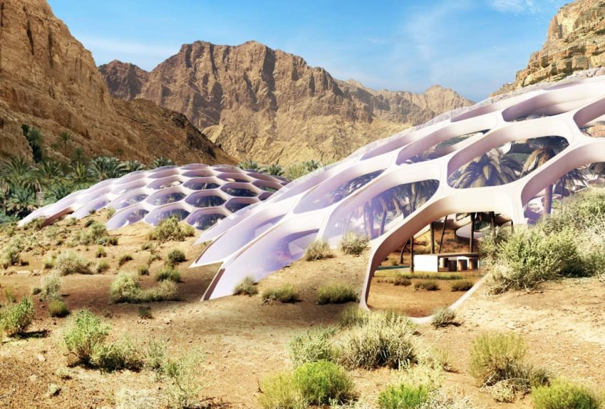 В пустыни Эмиратов возведут биокупола на 100% самообеспечении