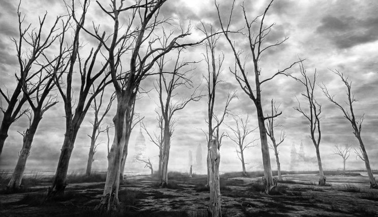Мертвые деревья